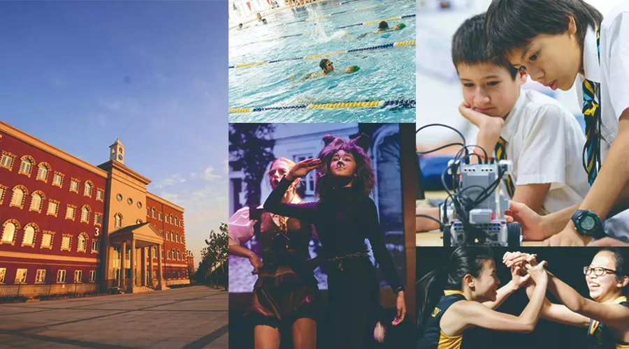 1632900680485758248.png 1632900680485758248.png