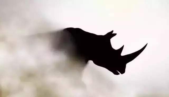 不要让黑天鹅变成灰犀牛，先救人心